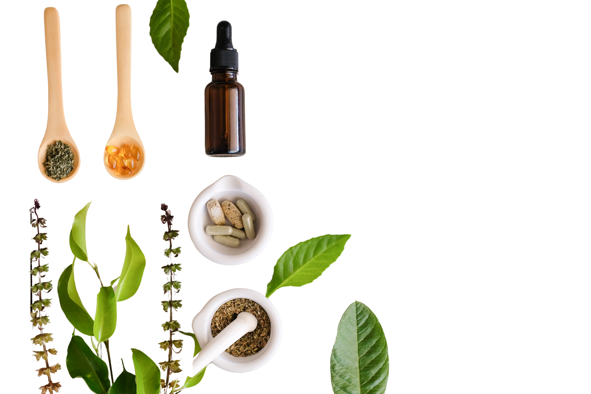 herbal organic medicine product. natural herb essential from nature.